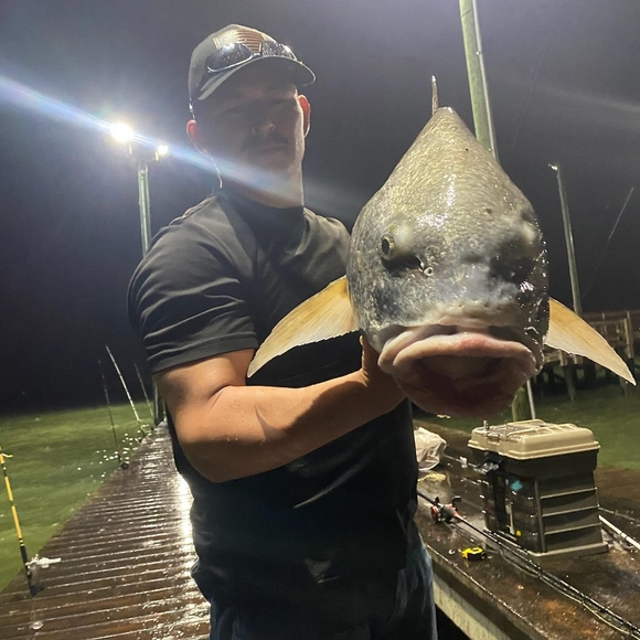 Meet your Posher, Isabel - Picture 1 of 1